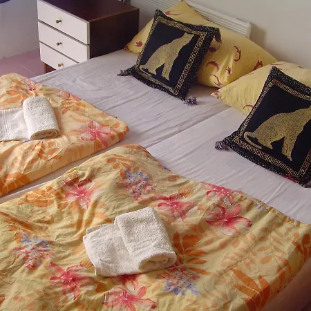 Panter House Appartement *